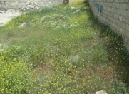 Satılır 5 sot torpaq Şüvəlan