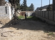 Satılır 6 sot torpaq Badamdar