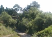 Satılır 10 otaqlı 280 m2 bağ evi Xaçmaz