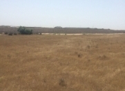 Satılır 200 sot torpaq Məhəmmədli