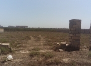 Satılır 42 sot torpaq Məhəmmədli