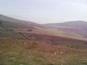 Satılır 8.67 sot torpaq Lerik