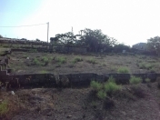 Satılır 5 sot torpaq Zirə