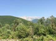 Satılır 100 sot torpaq Şəki