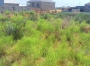 Satılır 5 sot torpaq Y.Ramana