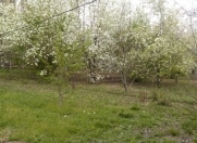 Satılır 8 sot torpaq Quba