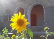 Satılır 6 otaqlı 200 m2 həyət evi Buzovna