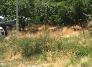 Satılır 8 sot torpaq Sulutəpə