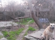 Satılır 6 sot torpaq Bakıxanov