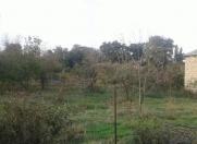 Satılır 3 sot torpaq Buzovna