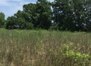 Satılır 100 sot torpaq Xaçmaz