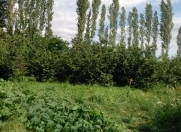 Satılır 4 otaqlı 500 m2 bağ evi Xaçmaz