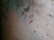 Satılır 25 sot torpaq Xocəsən