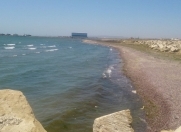 Satılır 6 sot torpaq Türkan