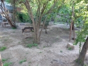 Satılır 14 sot torpaq Bakıxanov