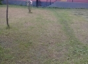 İcarəyə verilir 4 otaqlı 130 m2 bağ evi Qax