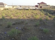 Satılır 10 sot torpaq Türkan