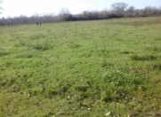 Satılır 130 sot torpaq Xaçmaz