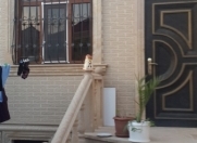 Satılır 4 otaqlı 90 m2 həyət evi Buzovna
