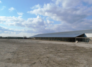 Satılır 1 otaqlı 1350 m2 obyekt Neftçala