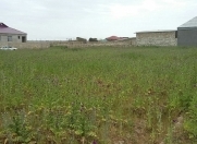 Satılır 4.5 sot torpaq Ramana