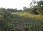 Satılır 100 sot torpaq Oğuz