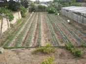 Satılır 8 sot torpaq Nardaran