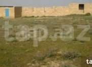 Satılır 10 sot torpaq Əhmədli