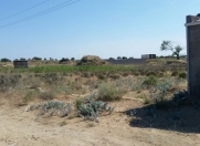 Satılır 12 sot torpaq Maştağa