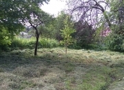 Satılır 12 sot torpaq İsmayıllı