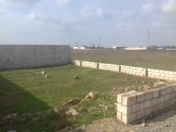 Satılır 2 sot torpaq NZS