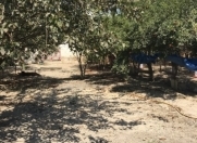 Satılır 4 otaqlı 229 m2 həyət evi Salyan