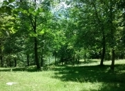 Satılır 30 sot torpaq Quba