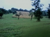 Satılır 185 sot torpaq Quba