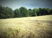 Satılır 20 sot torpaq Quba