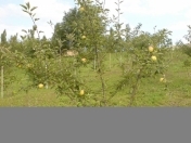 Satılır 18 sot torpaq Quba