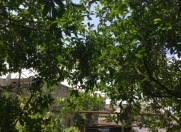 Satılır 7.5 sot torpaq Bakıxanov