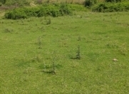 Satılır 200 sot torpaq Quba