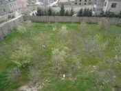 Satılır 9 sot torpaq Badamdar