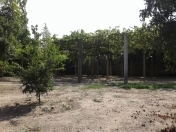 Satılır 6 sot torpaq Maştağa