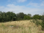 Satılır 6 sot torpaq Sumqayıt