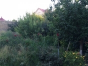 Satılır 1 otaqlı 400 m2 bağ evi Balakən