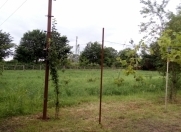 Satılır 14 sot torpaq Qax