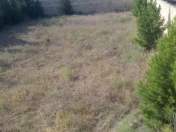 Satılır 6 sot torpaq Novxanı