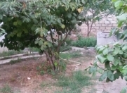 Satılır 4 otaqlı 100 m2 həyət evi Zabrat 1