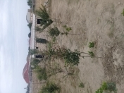 Satılır 3 otaqlı 4 m2 yeni tikili Bilgəh