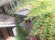 Satılır 9 otaqlı 900 m2 həyət evi Şamaxı