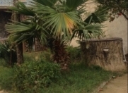 Satılır 4 otaqlı 600 m2 bağ evi Türkan