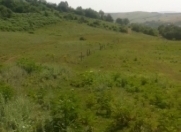 Satılır 140 sot torpaq Quba