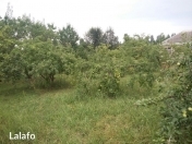 Satılır 12 sot torpaq Qusar